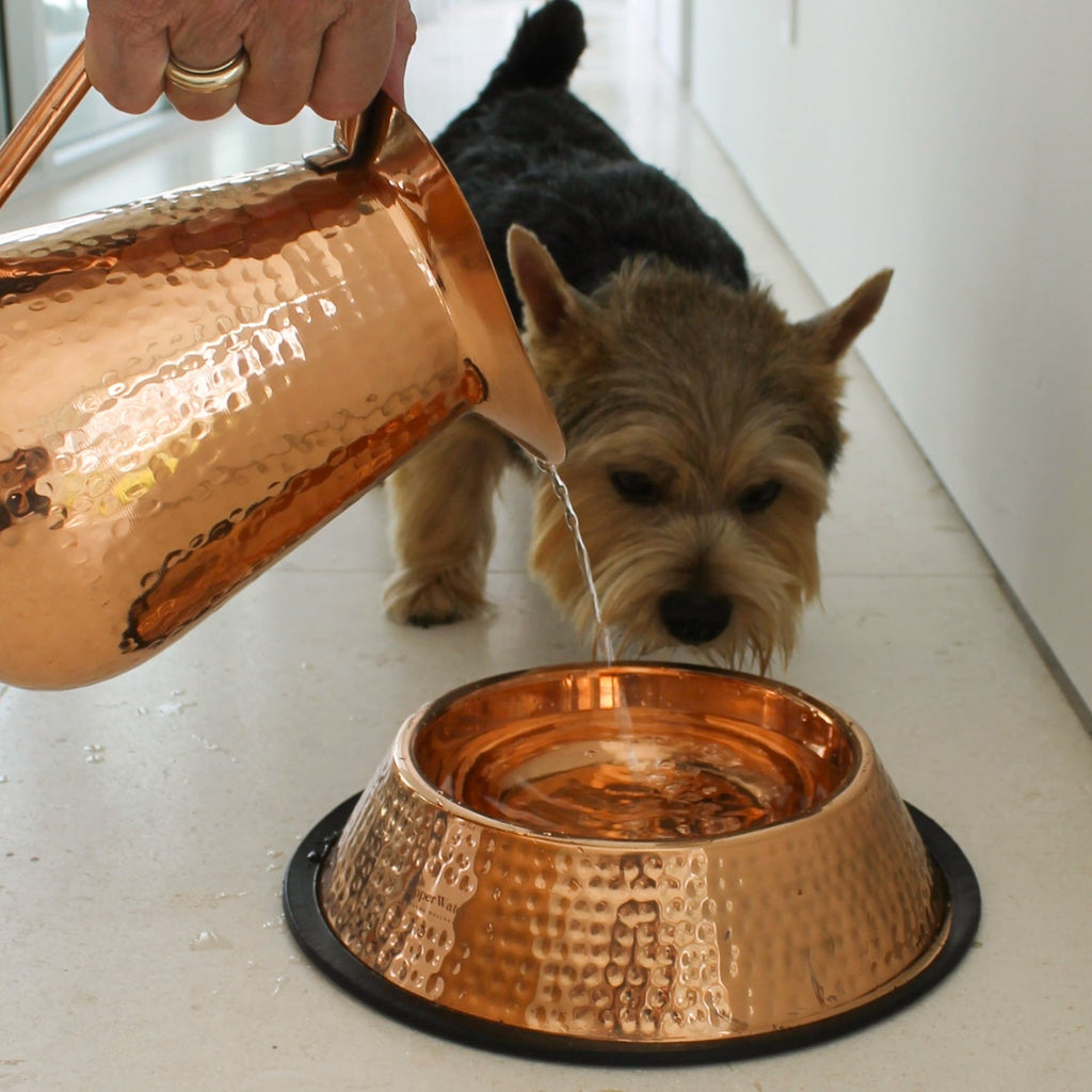 Hand-Hammered Pure Copper Pet Water Bowl for Cats and Dogs, Polished Finish in 27 oz and 51 oz Sizes source image 6