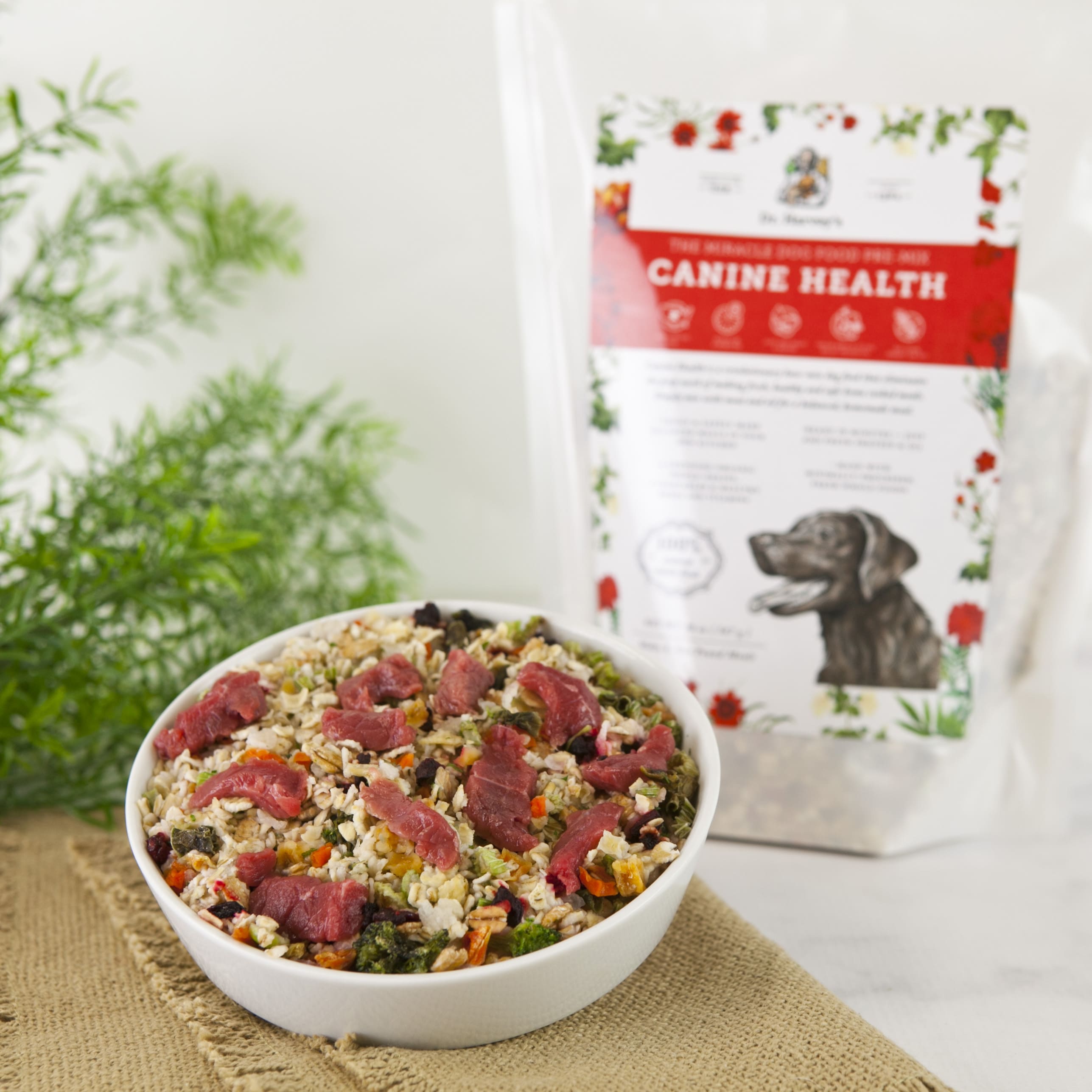 Dr. Harvey's Canine Health dog food pre-mix bag beside a white bowl filled with grains, vegetables, and raw meat pieces.