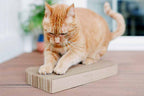 Rectangular Cat Scratcher Pad, Double-Sided Heavy-Duty Corrugate Board Sized 17 x 10 Inches for Lounging source image 6