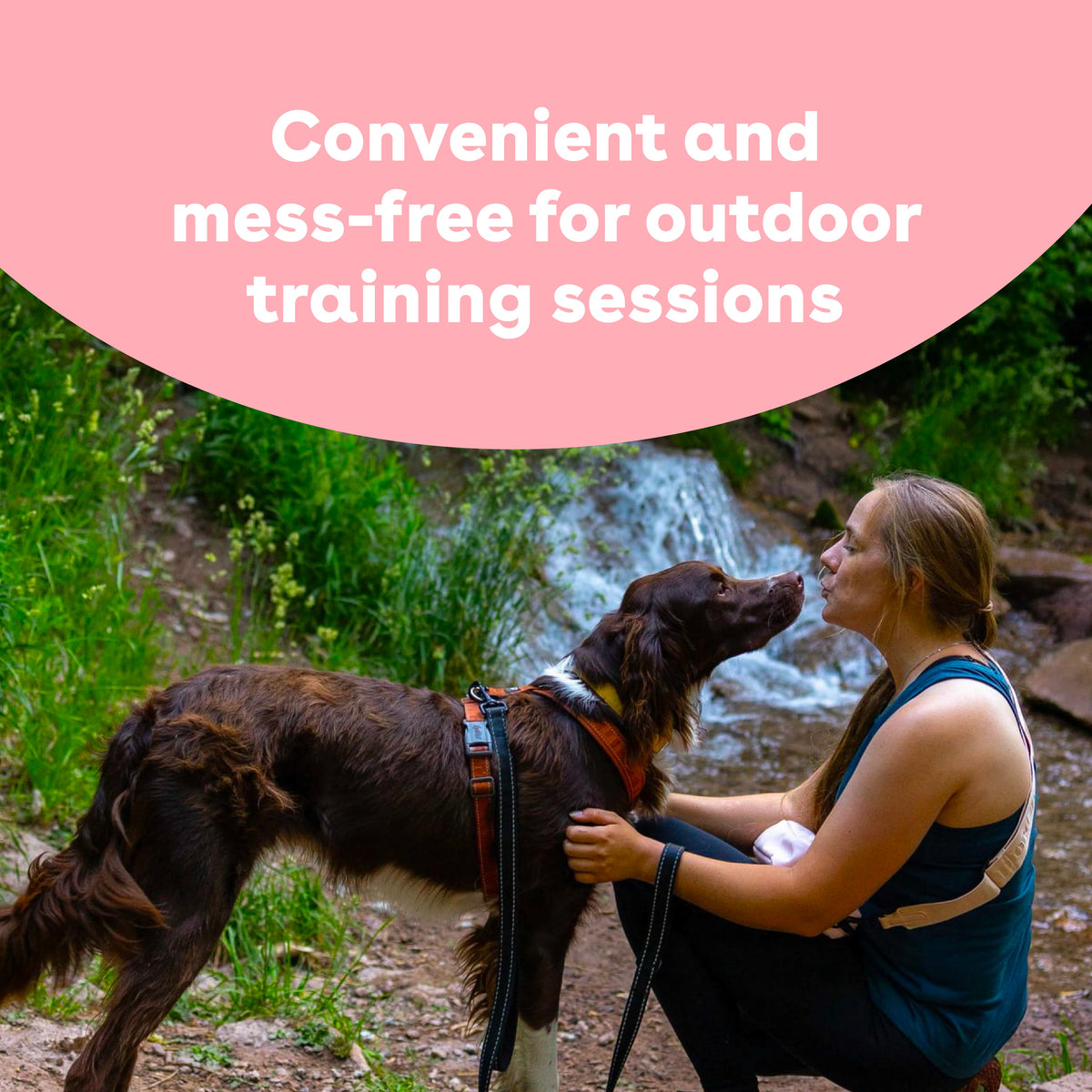 Freeze-Dried Rabbit Dog Training Treats, Low-Calorie Crunchy Rewards in Four Package Sizes source image 6