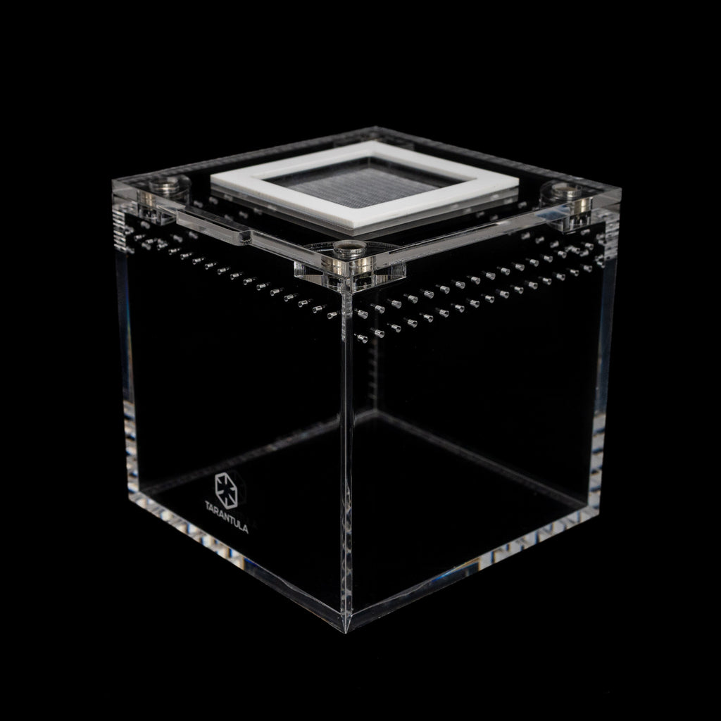 Four-Inch Acrylic Tarantula Terrarium, Compact Cube in Standard, Mesh, Max-Vent and Canopy Lid Styles source image 6