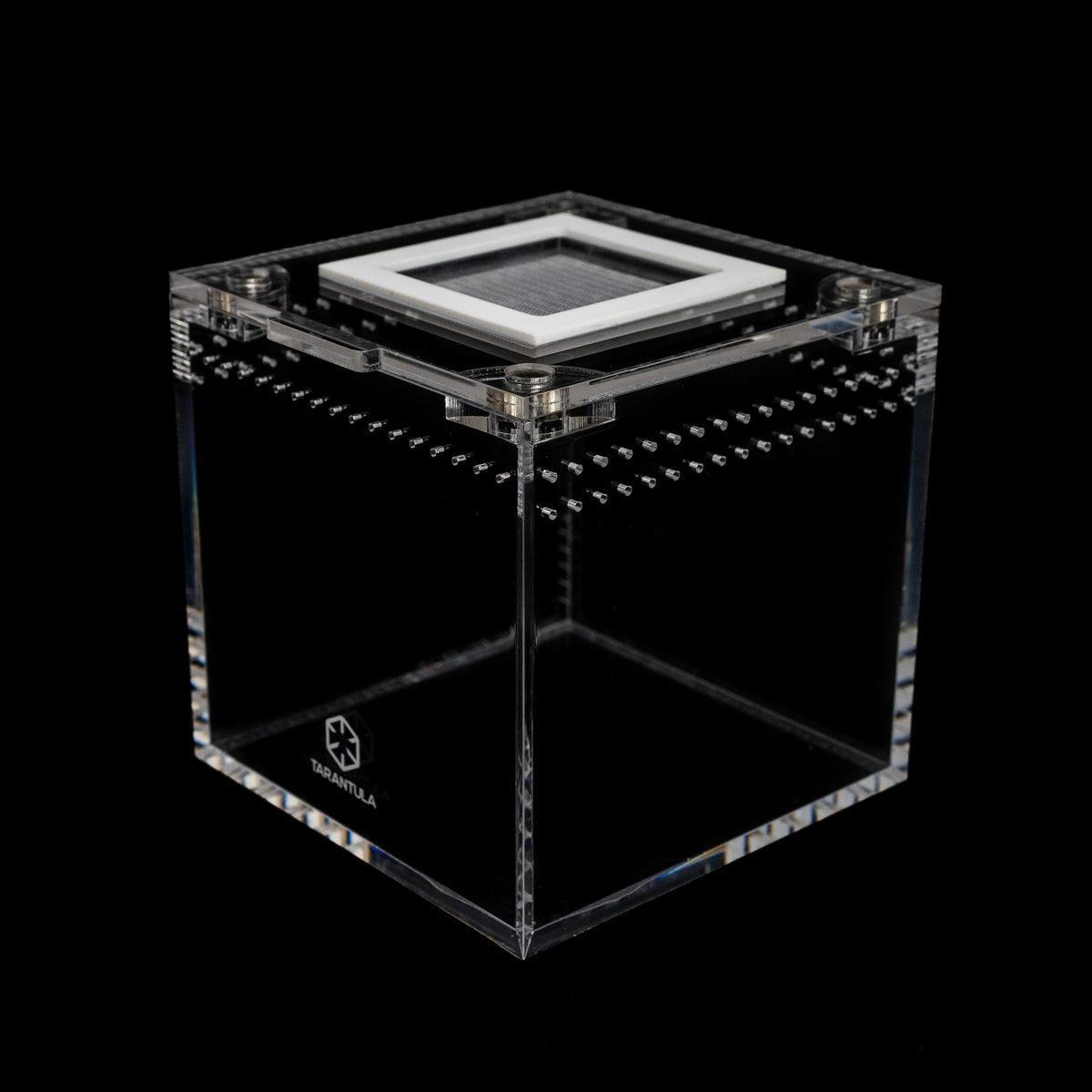 Four-Inch Acrylic Tarantula Terrarium, Compact Cube in Standard, Mesh, Max-Vent and Canopy Lid Styles source image 6