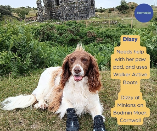 Non-Slip Dog Walking Boots, Two-Piece Paw Protection Pair with Reflective Strips and Secure Velcro Fit source image 6