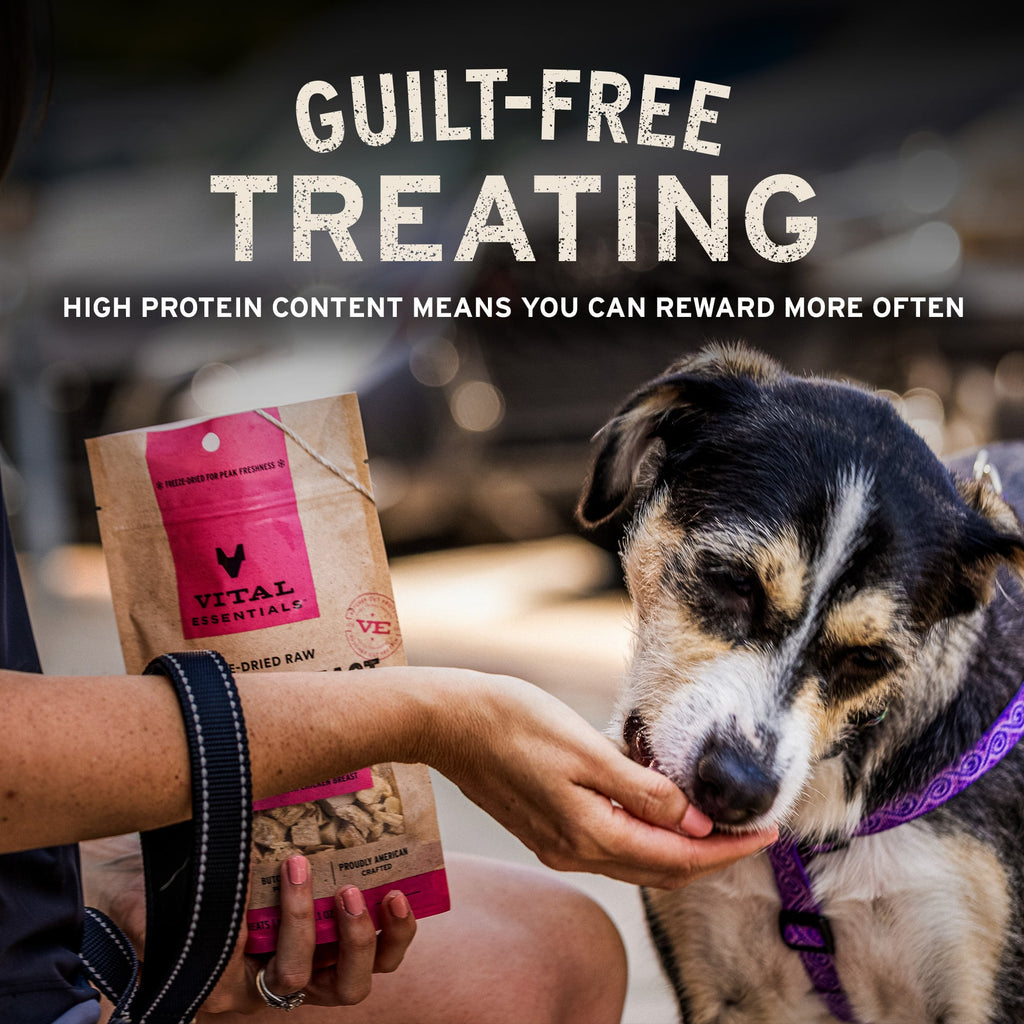 Freeze-Dried Whole Minnow Dog Treats for High-Value Rewards, Single-Protein Bites in Two Bag Sizes source image 6
