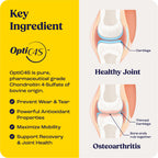 Bites for Horses packaging and joint health benefits.