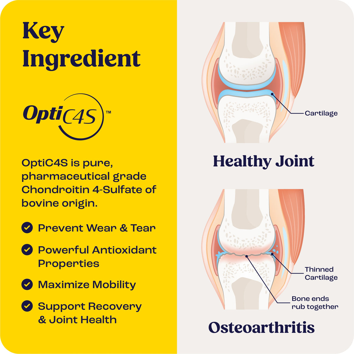 Bites for Horses packaging and joint health benefits.