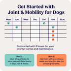 Large Dog Joint Supplement in Weekly Liquid Doses for Dogs Over 75 lb, Offered as Single and Multi-Box Packs source image 5
