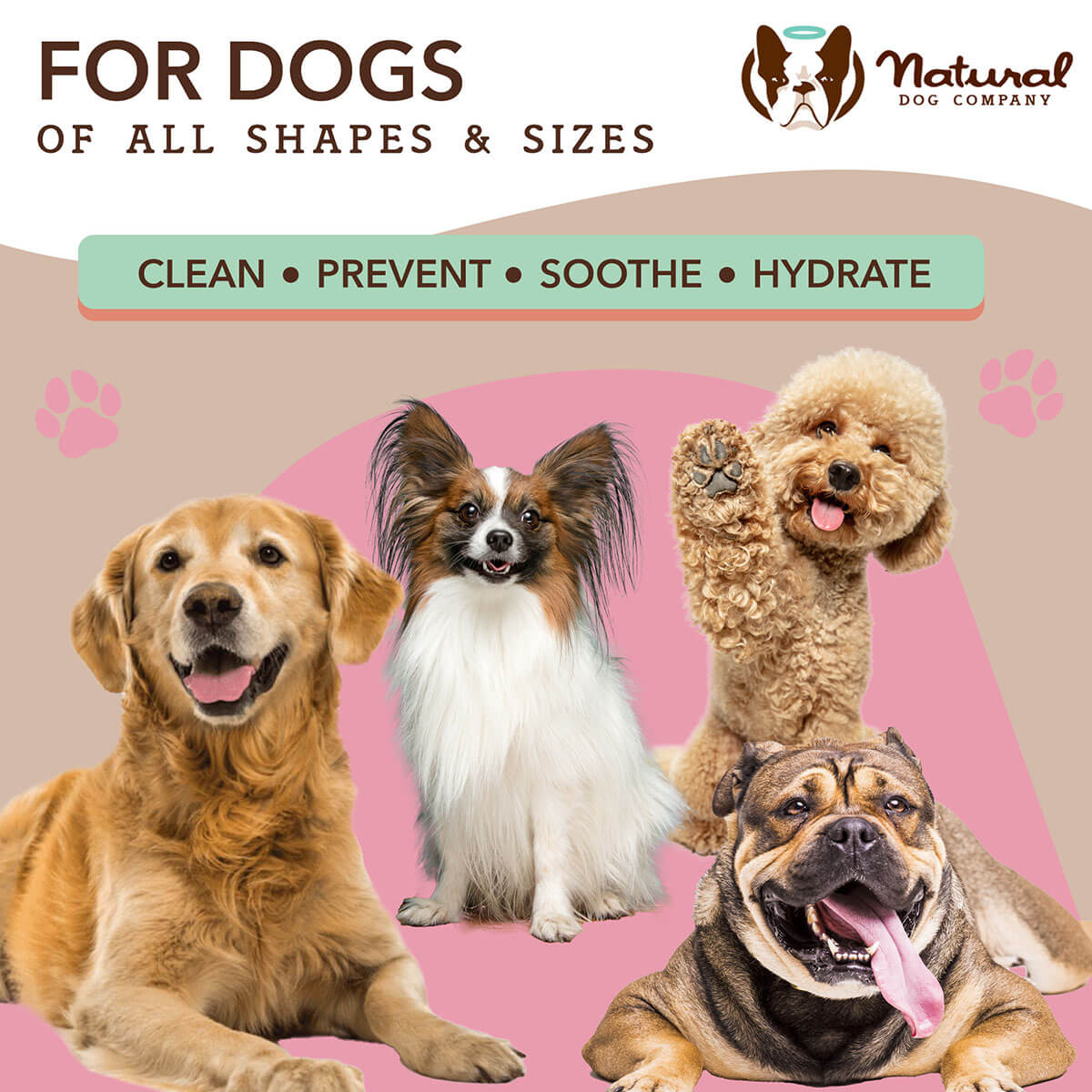 Extra Large Dog Grooming Wipes for Paws, Fur and Skin, Convenient Cleanup Between Regular Baths source image 6
