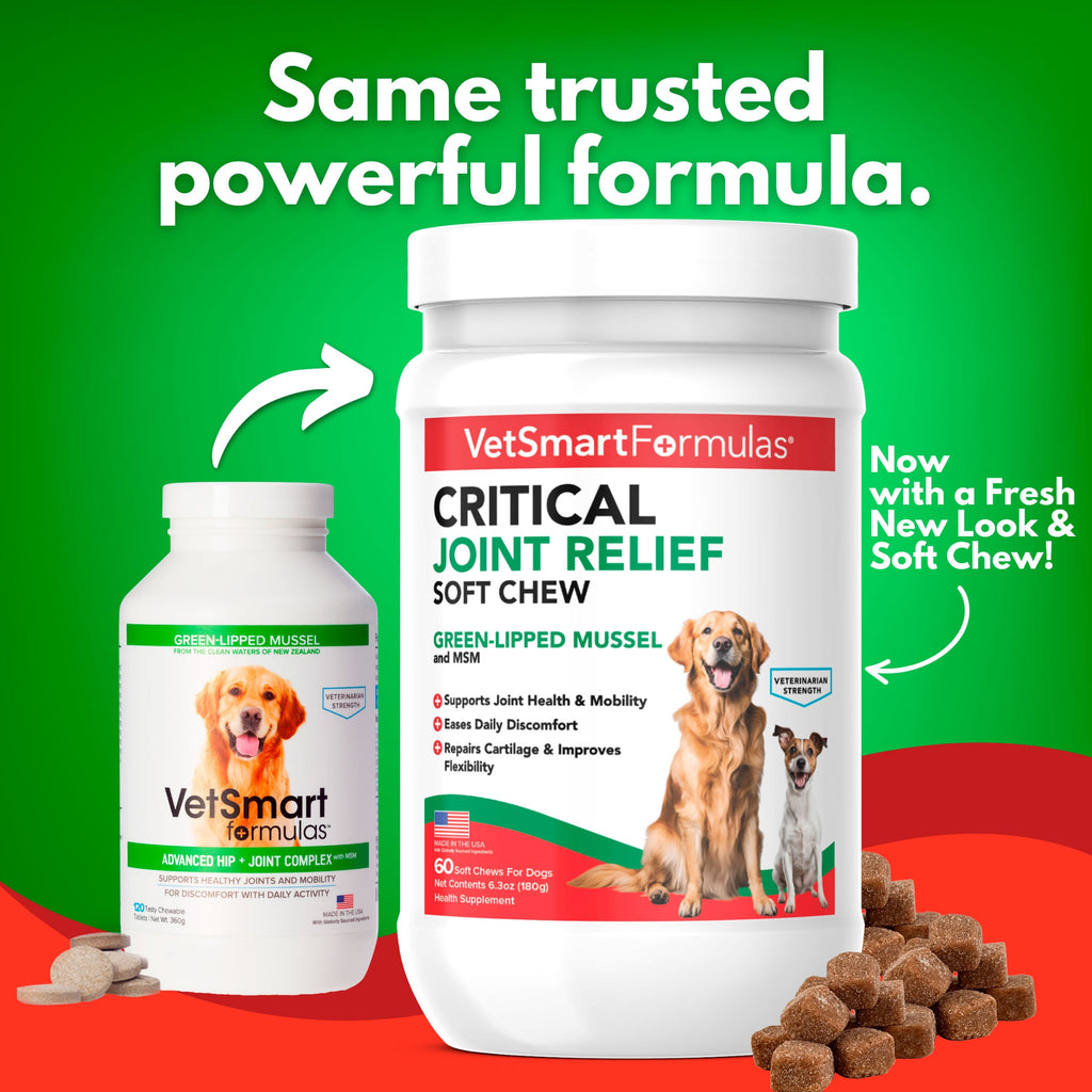Dog Joint Support Chews for Daily Mobility Care, 90-Day Bottle for Adult Dogs and Active Senior Companions source image 6