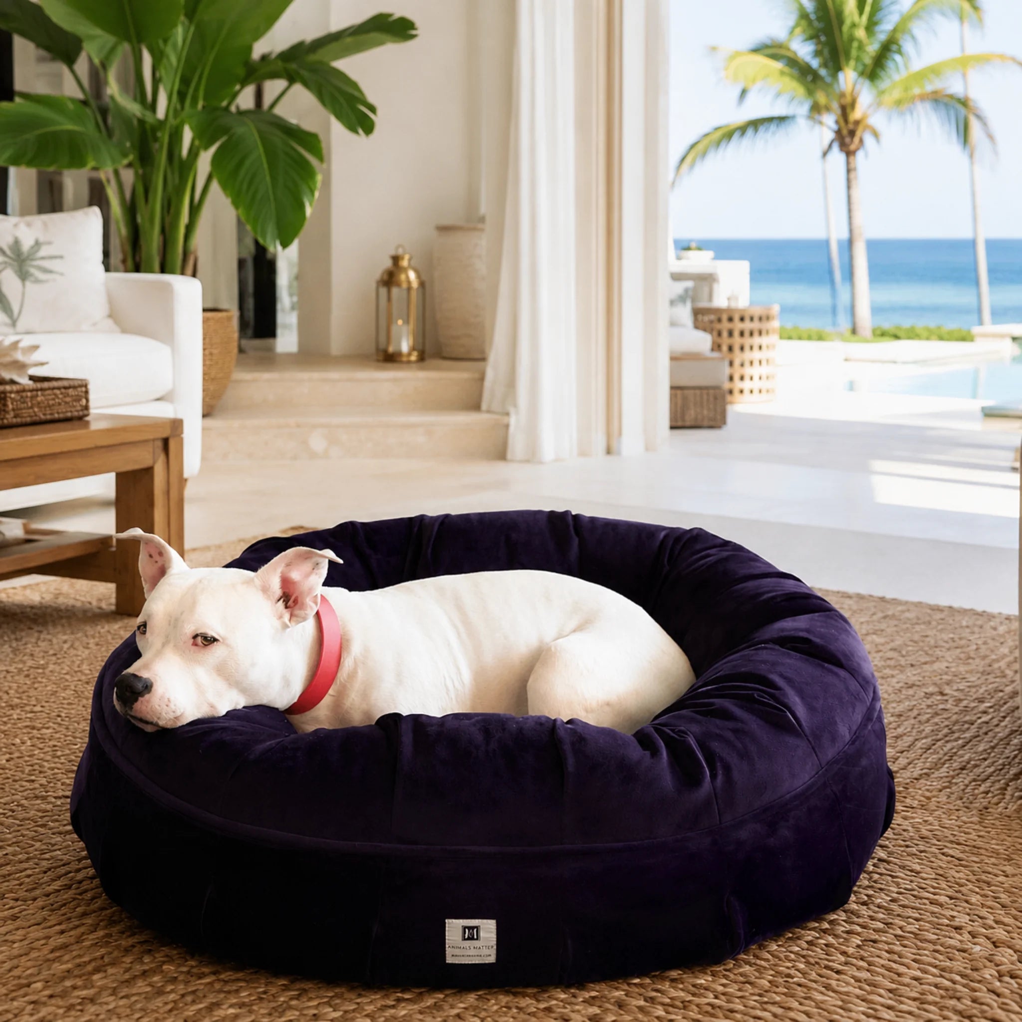 Round Orthopedic Velvet Dog Bed product image 6