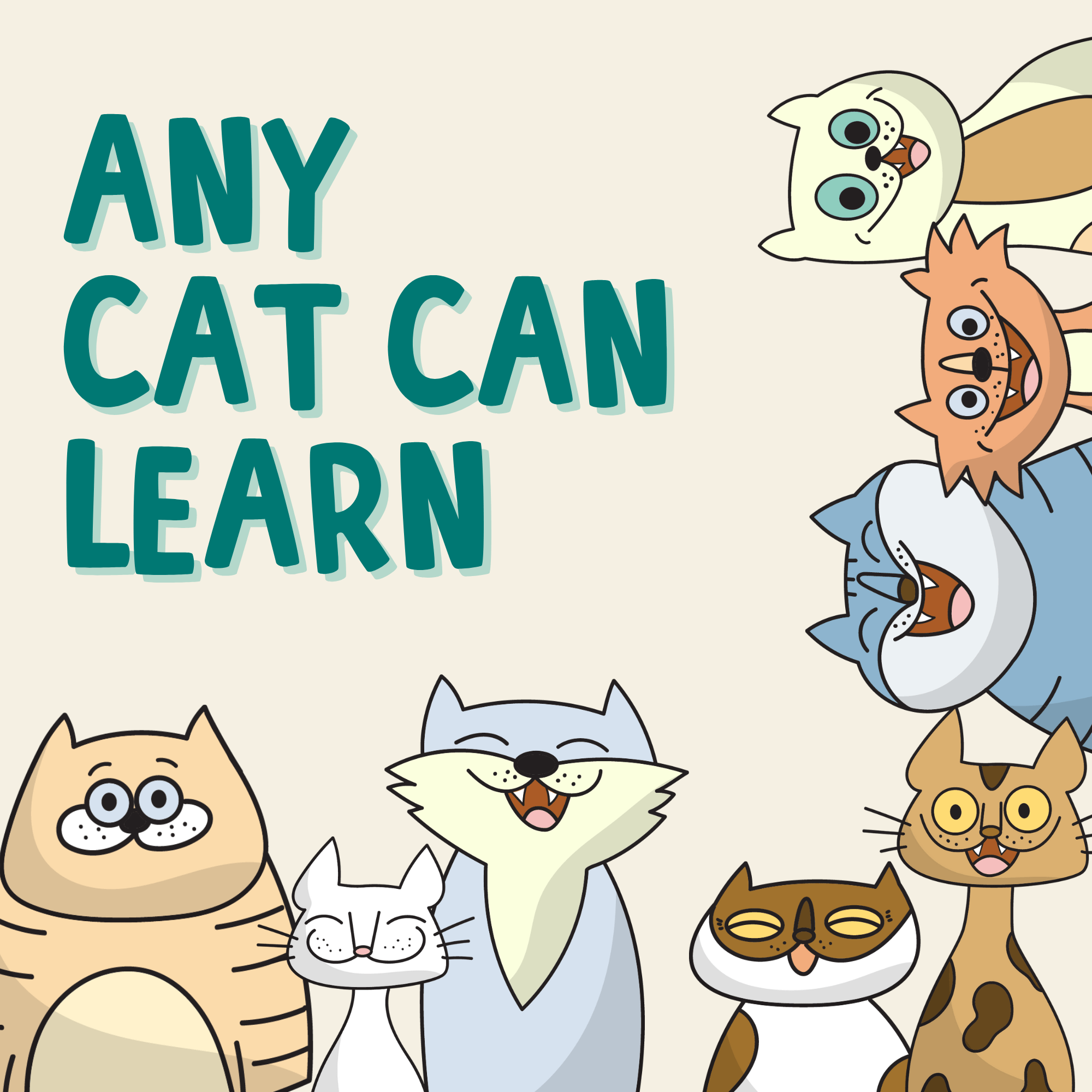 Cat Clicker Training Starter Kit product image 6