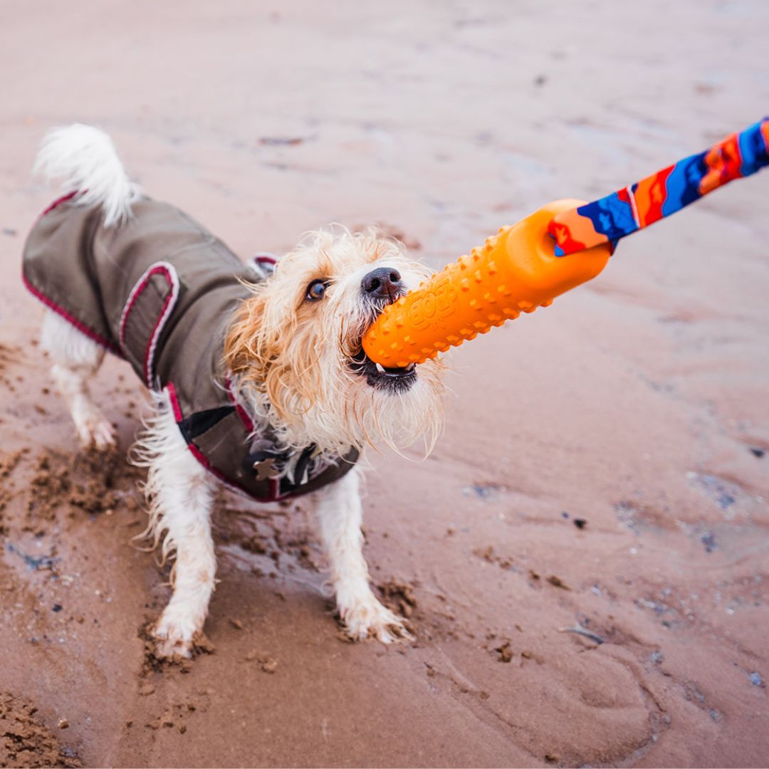 Waterproof Floating Dog Bumper Toy product image 3
