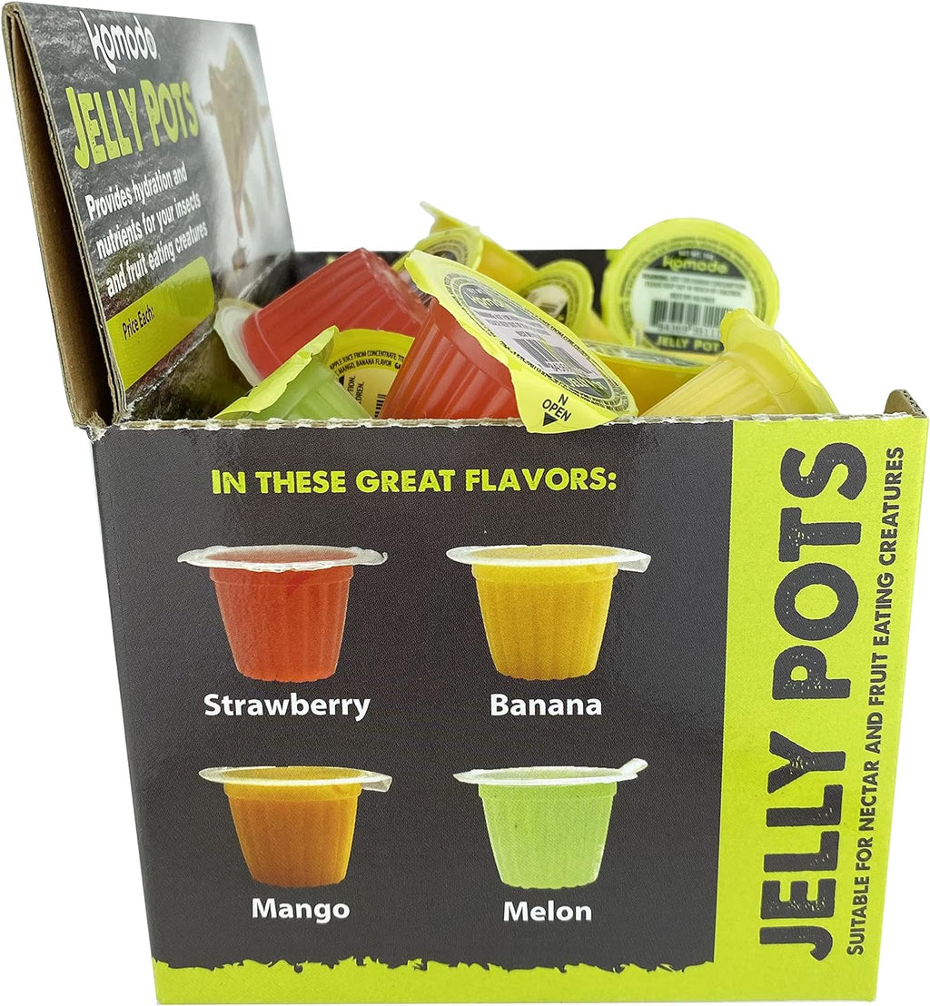 Reptile Jelly Feeding Pots product image 6