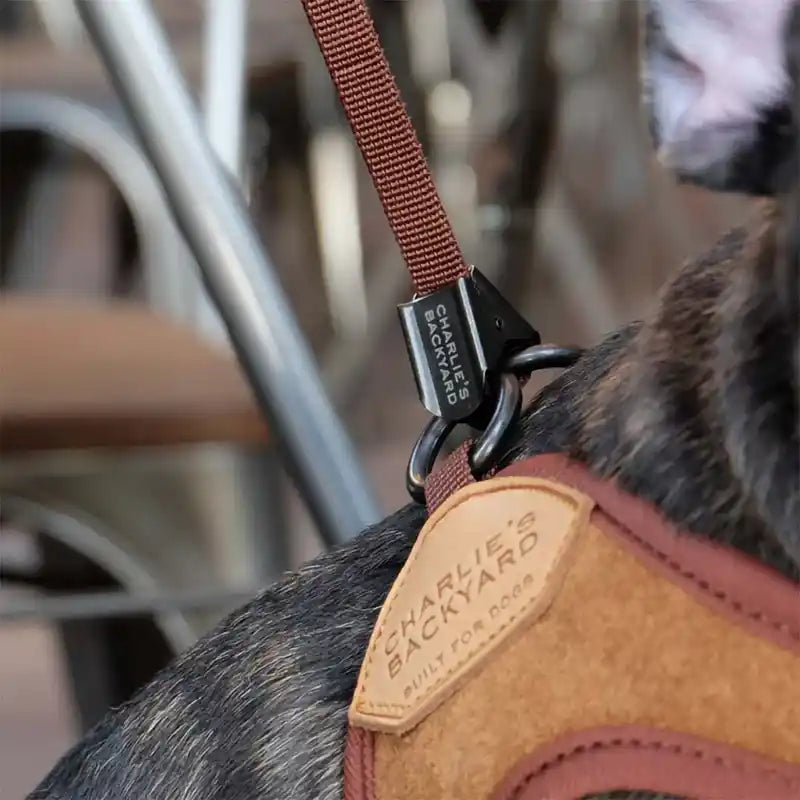 Breathable Step-In Dog Harness product image 6