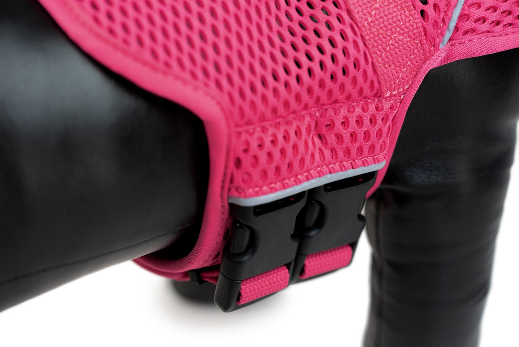 Martingale Dog Harness product image 6