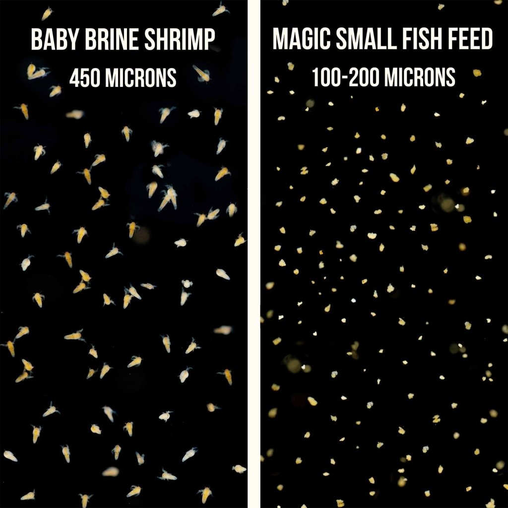 Small Fish and Shrimp Feed product image 6