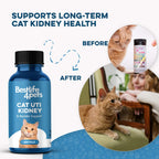 Cat Urinary and Kidney Support Tablets product image 6