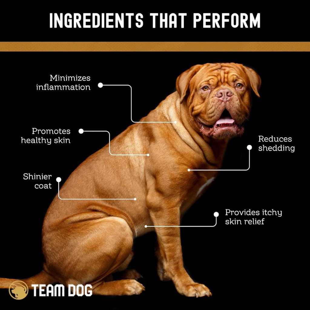 Dog Skin and Coat Supplement Soft Chews product image 6