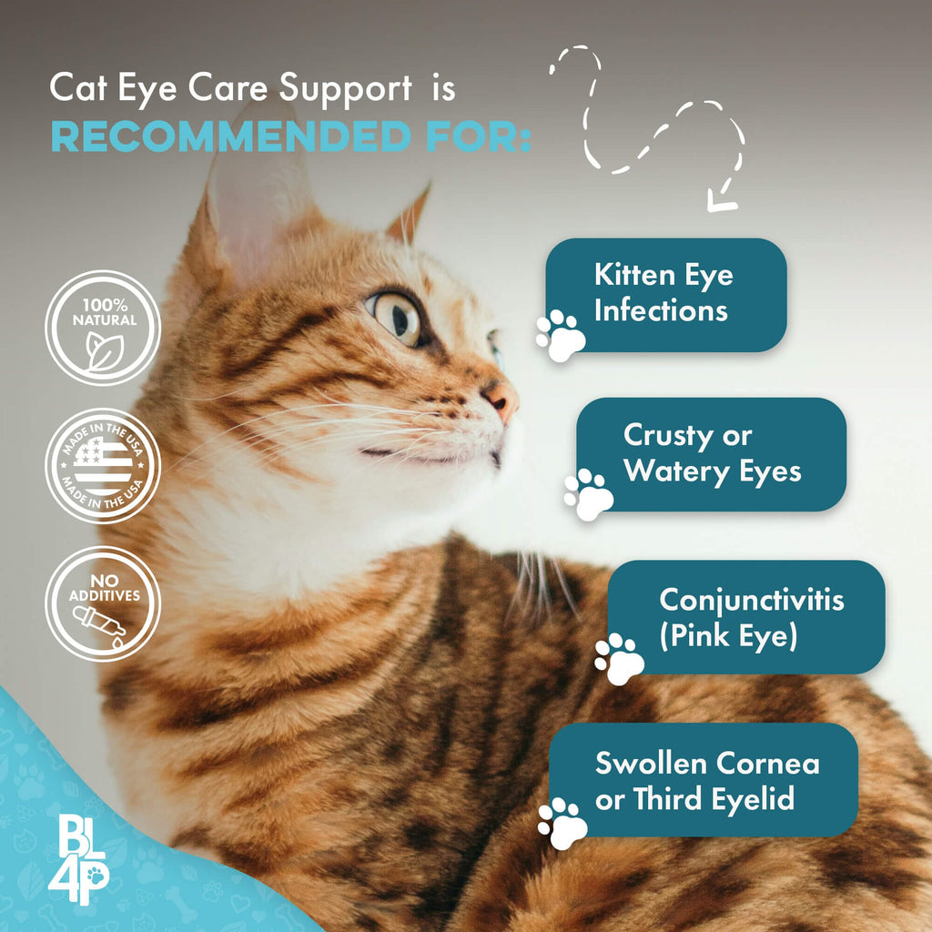 Cat Eye Care Support Tablets product image 6