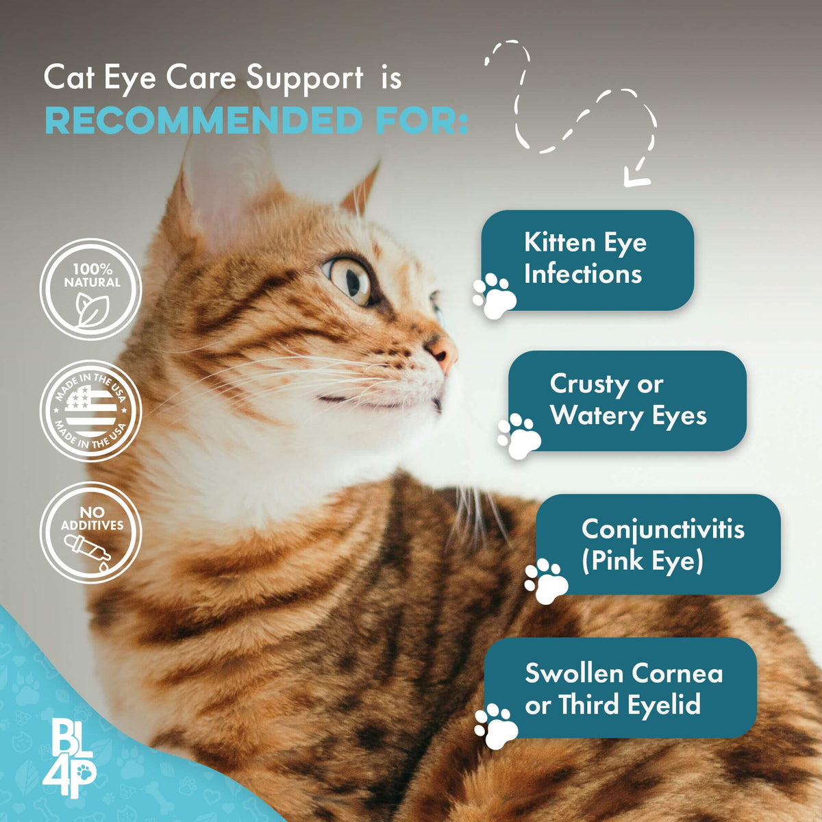 Cat Eye Care Support Tablets product image 6