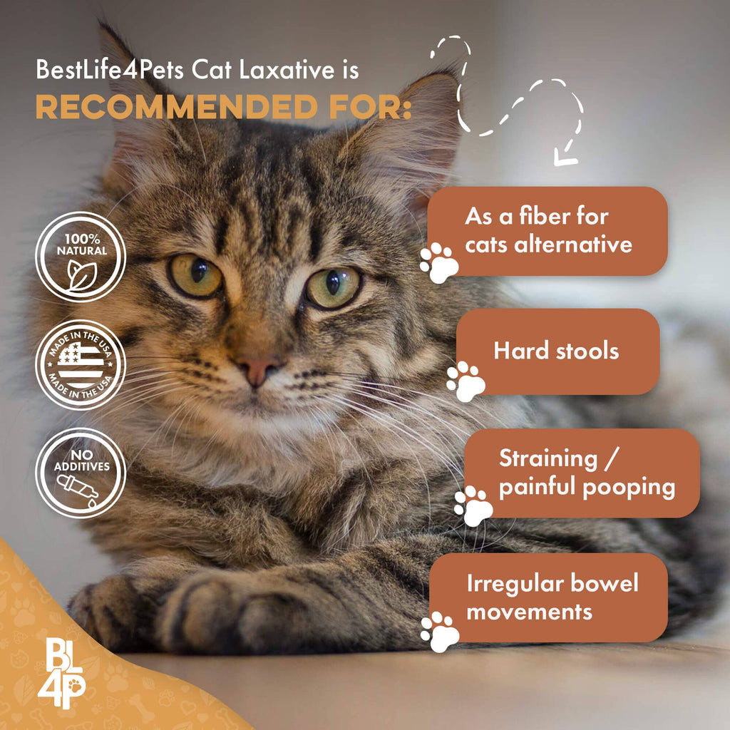 Cat Constipation and Digestive Support Tablets product image 6