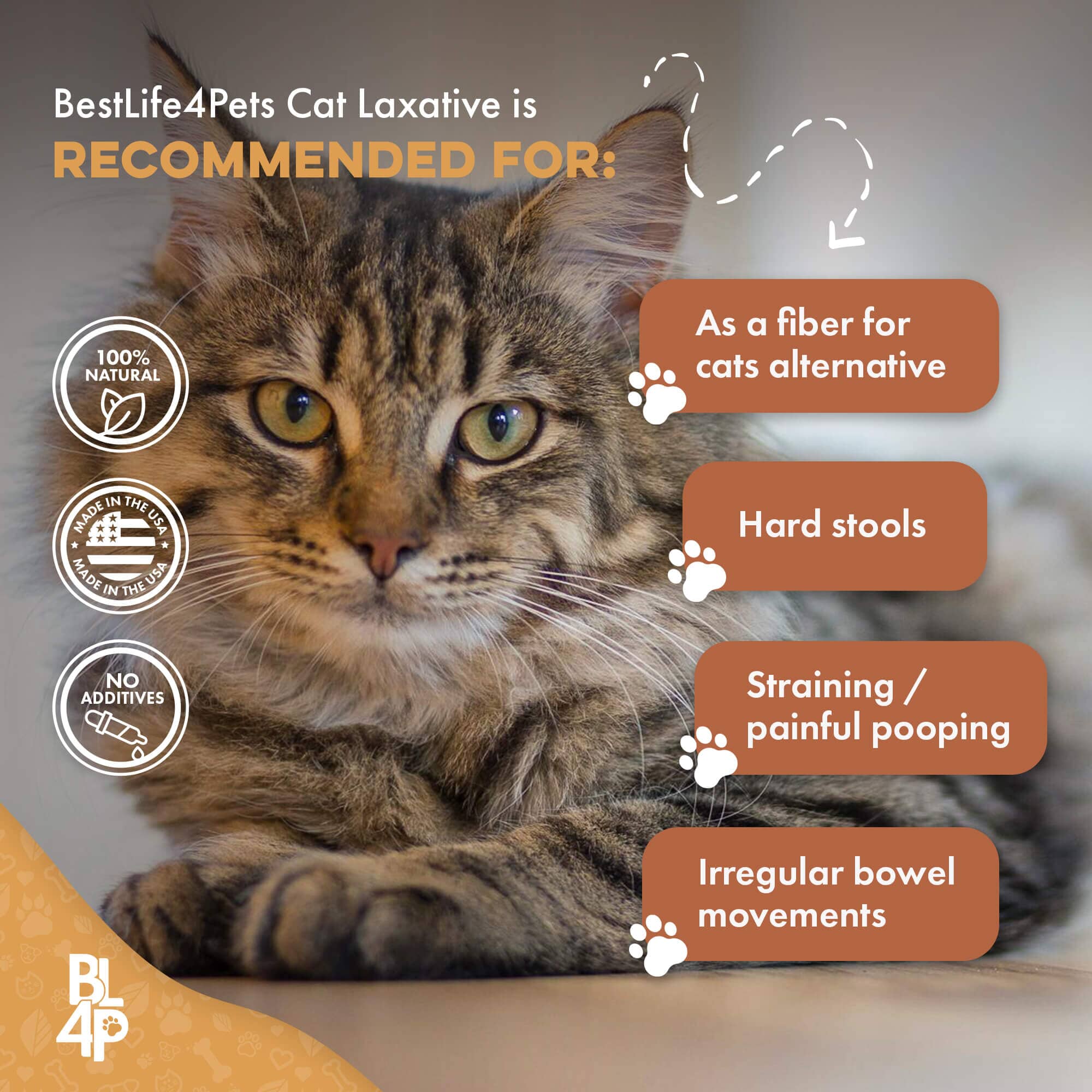 Cat Constipation and Digestive Support Tablets product image 6