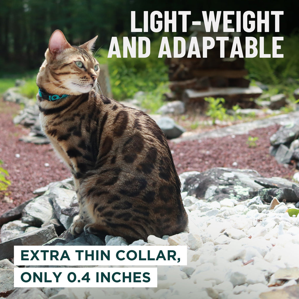 Breakaway Cat Collar product image 6