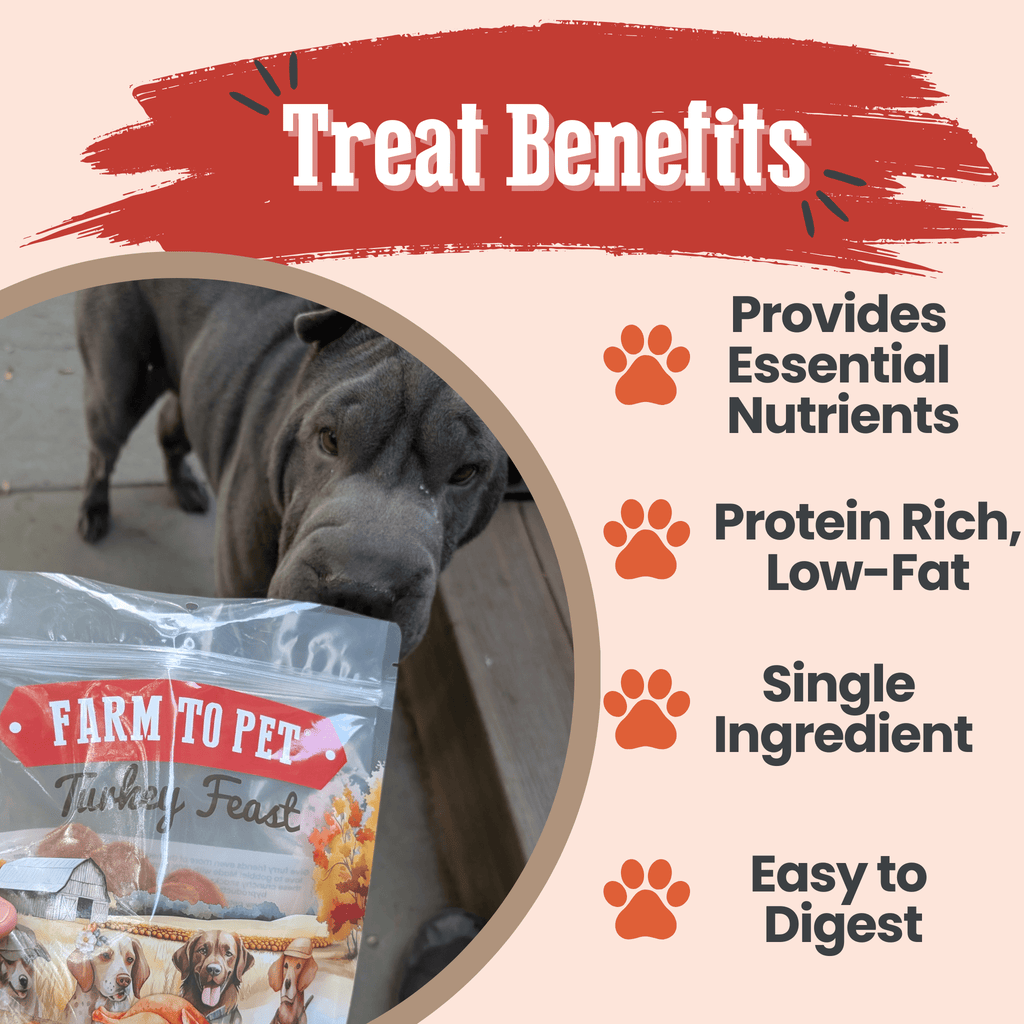 Turkey Breast Chip Pet Treats product image 6