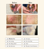 Hypochlorous Acid Dog Skin Spray product image 6