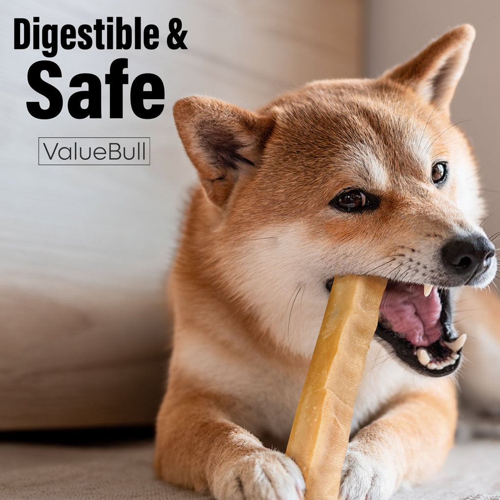 Large Himalayan Yak Cheese Dog Chews product image 6