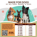 Liquid Dog Joint Supplement product image 6