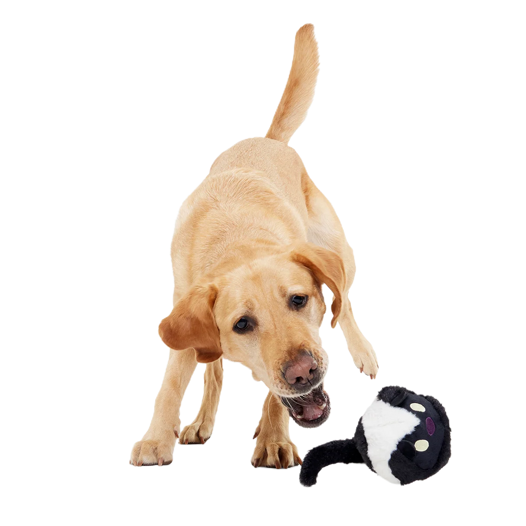 Dog Fetch Toy product image 6