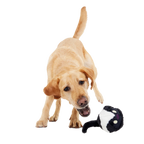 Dog Fetch Toy product image 6