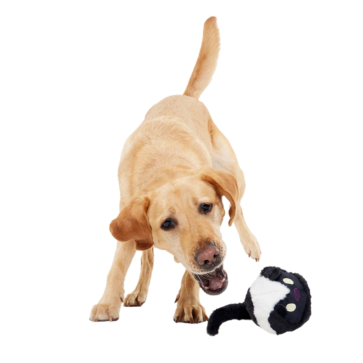 Dog Fetch Toy product image 6