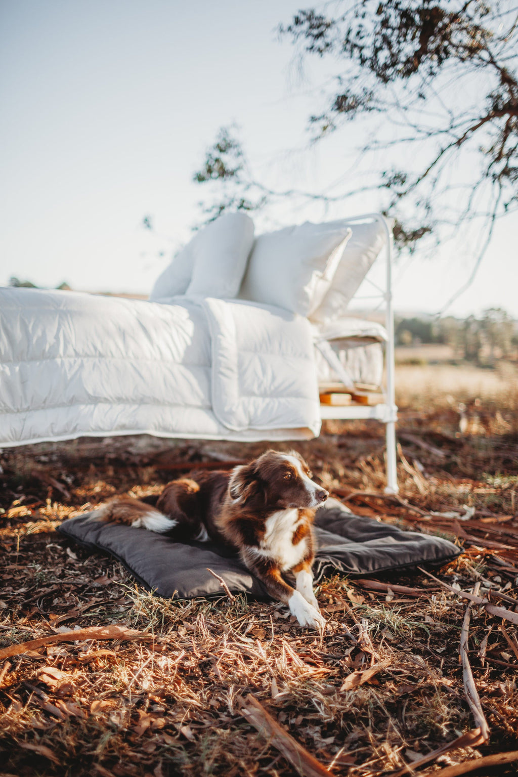 Wool Pet Bed product image 6