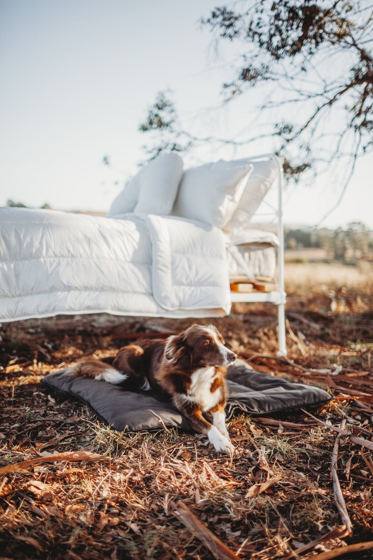 Wool Pet Bed product image 6