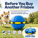 Transforming Pet Toy product image 6