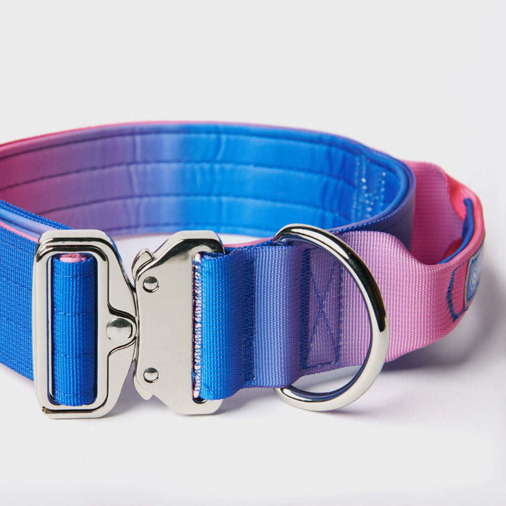 Tactical Dog Collar and Leash Set product image 6