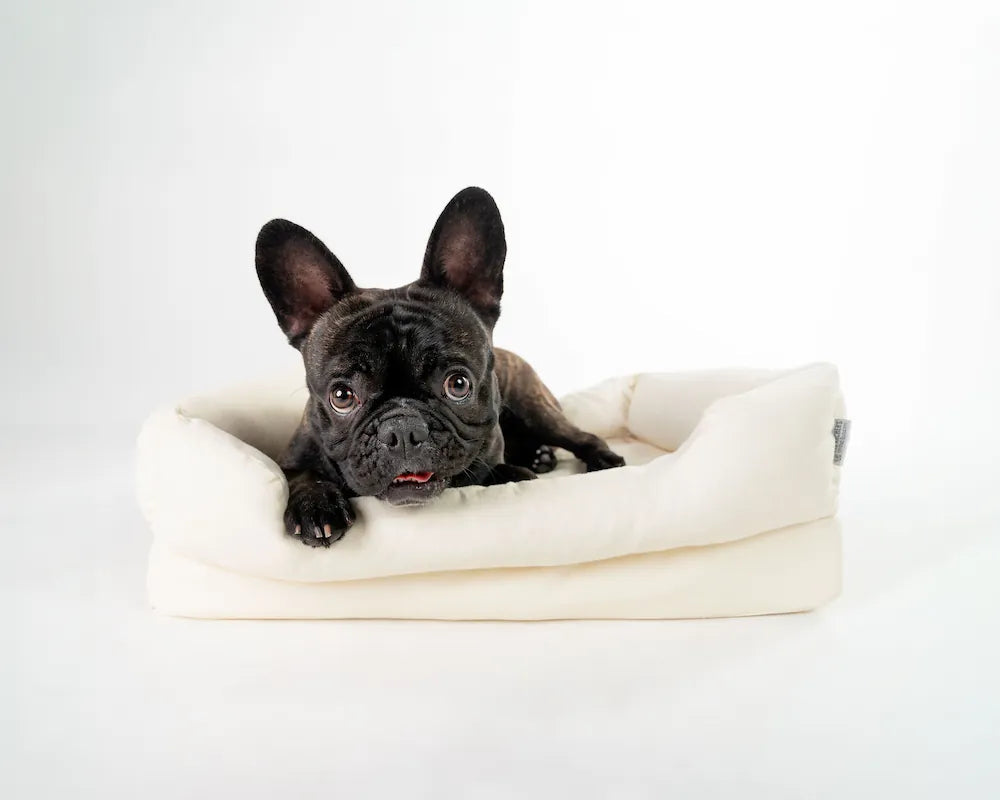 Orthopedic Dog Bed product image 6