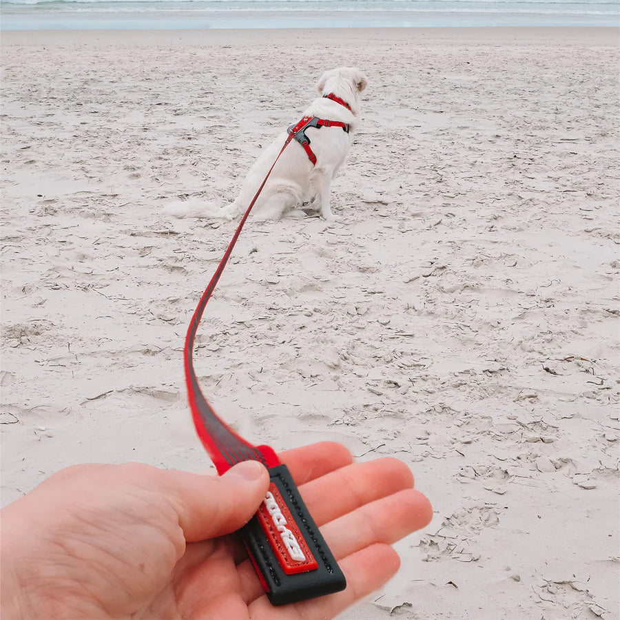 Dog Training Leash product image 6