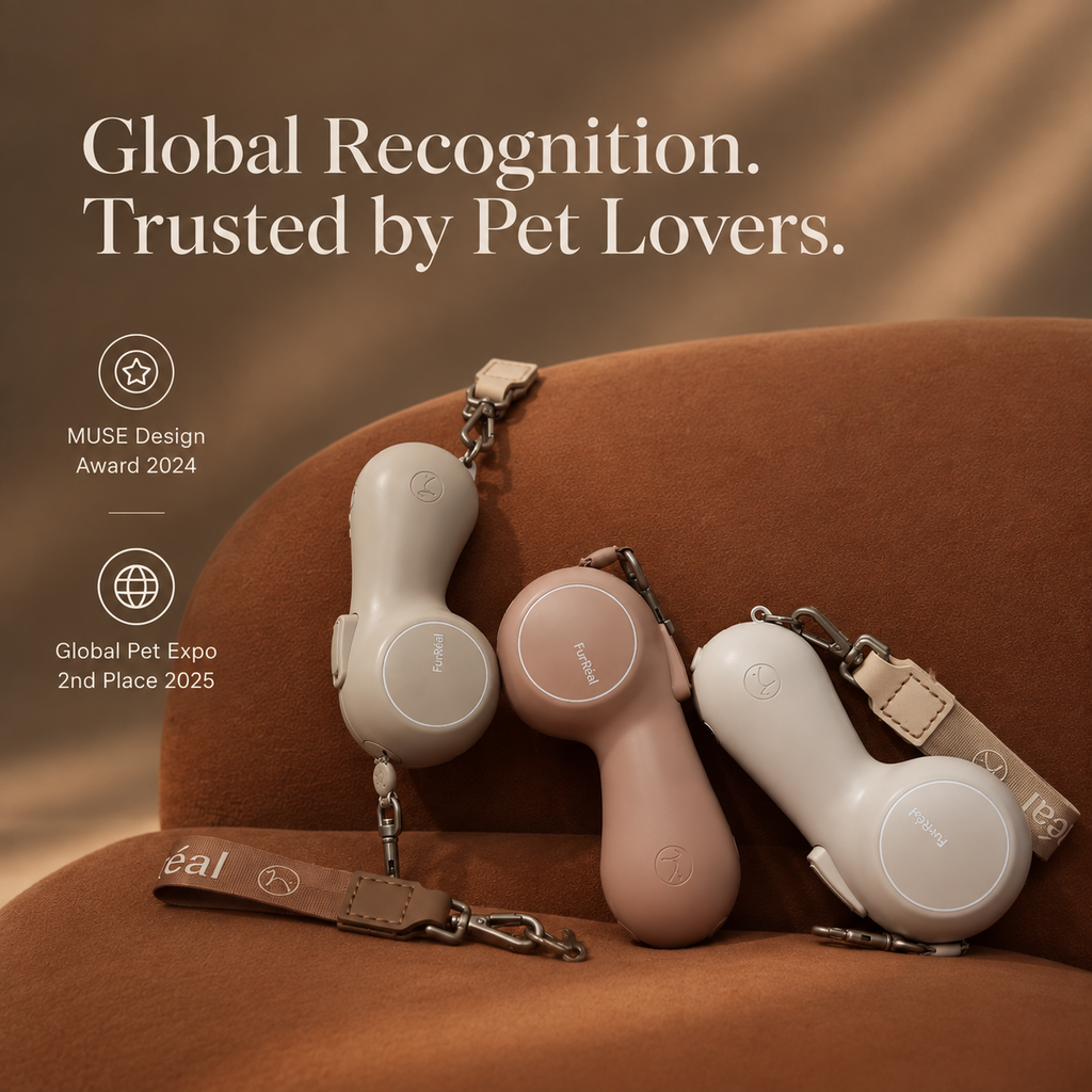 Retractable Dog Leash product image 6