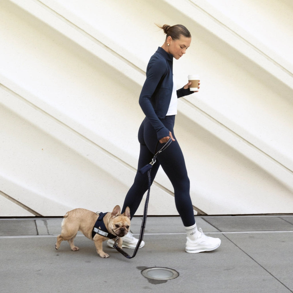 Bungee Dog Leash product image 6