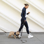 Bungee Dog Leash product image 6