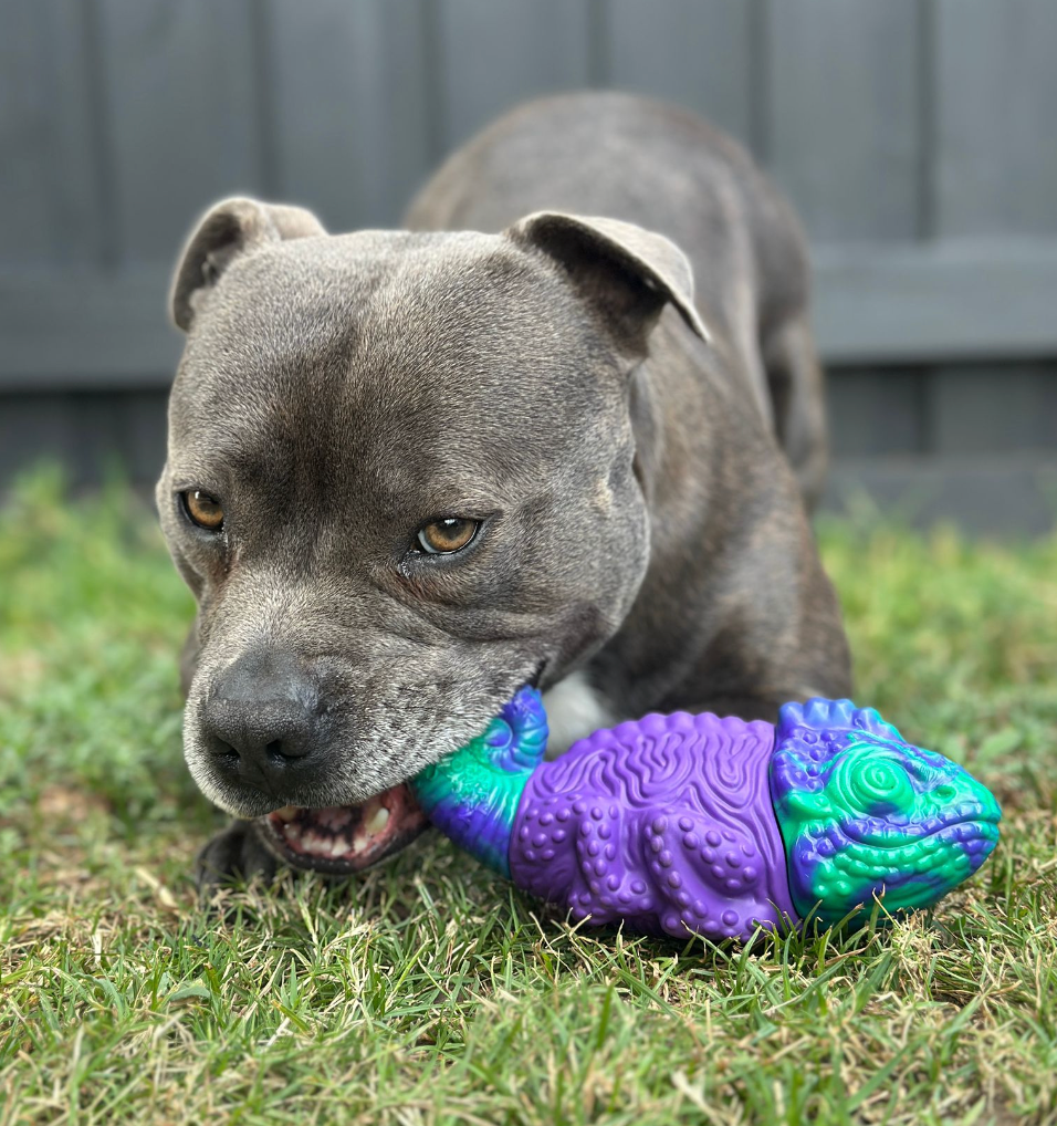 Dog Toy Collection product image 6