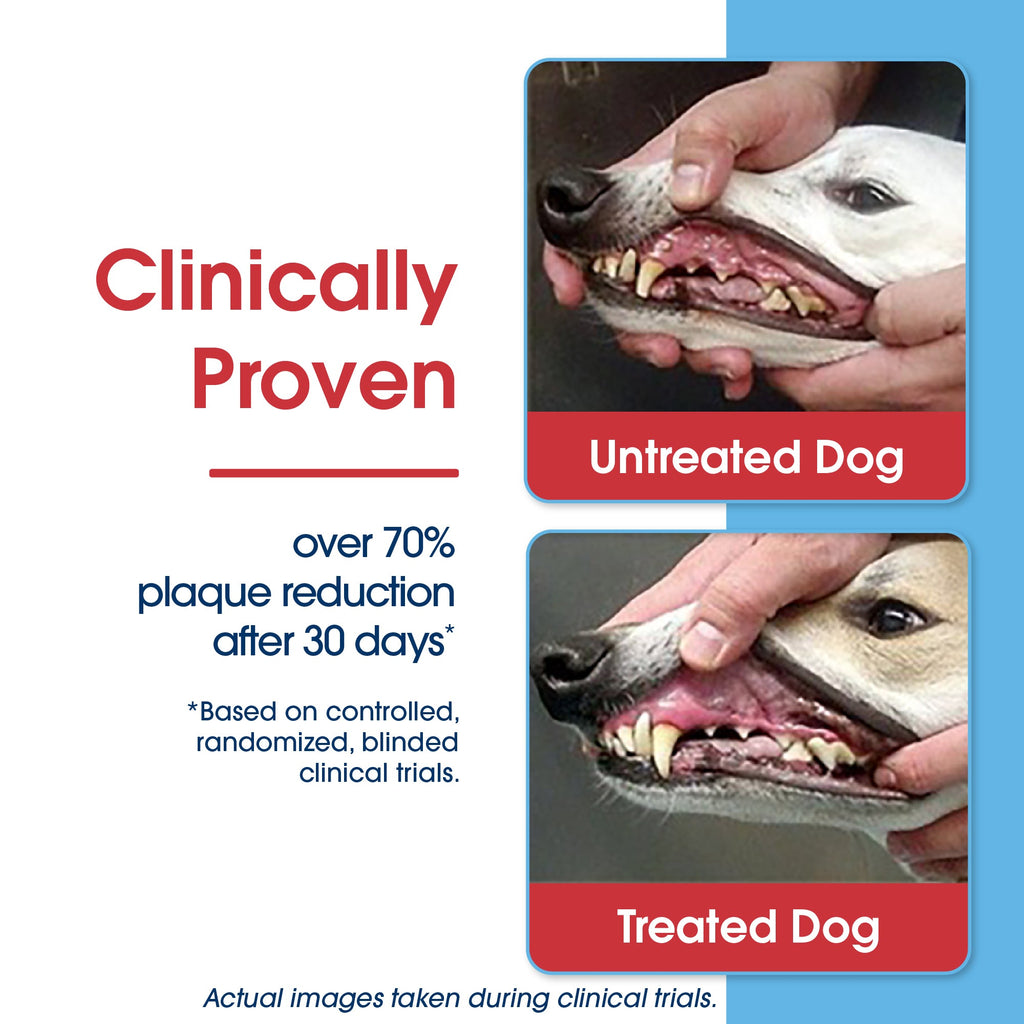 Dog Dental Water Additive product image 6