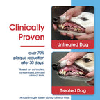 Dog Dental Water Additive product image 6
