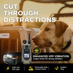 Remote Dog Training Collar product image 6