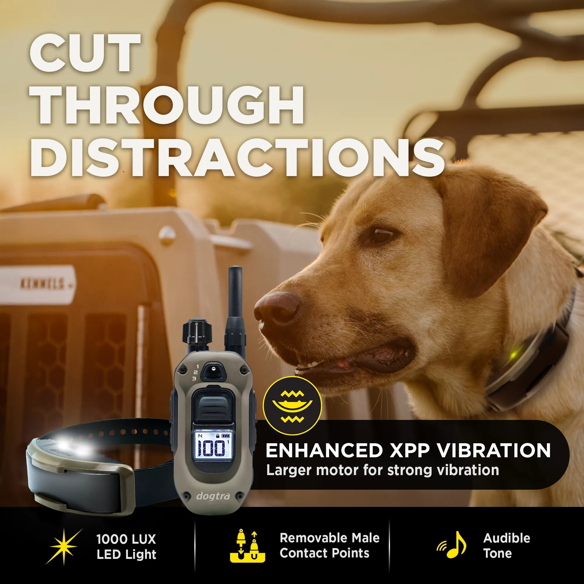 Remote Dog Training Collar product image 6