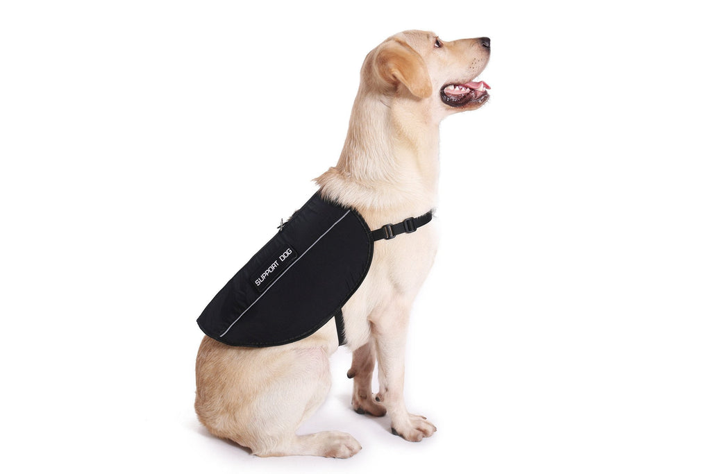 Emotional Support Dog Package product image 6