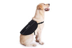 Emotional Support Dog Package product image 6